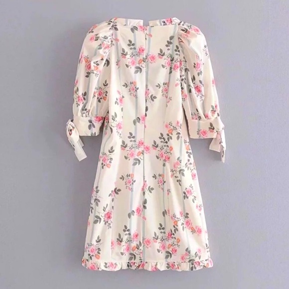 NEW! Stripes & Roses Floral Puff Sleeve Ruffle Mini Dress - Picture 10 of 11